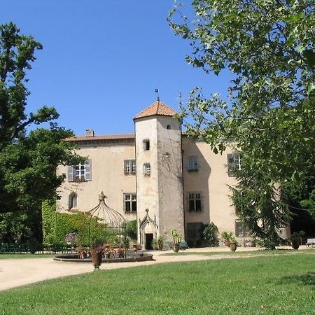 Chateau De La Chassaigne 梯也尔 客房 照片